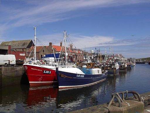 Eyemouth Harbour served by ​​​​​​​​​​​​​​​​​​Eyemouth skip Hire